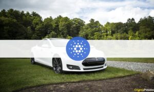 Elon Musk’s Tesla Should Accept ADA, Says Cardano Founder Charles Hoskinson