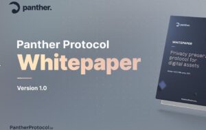 Panther Protocol Releases Whitepaper for an End-to-End DeFi Privacy Solution