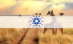 Cardano’s IOHK Partnered with EBU to Make Education in Africa More Accessible
