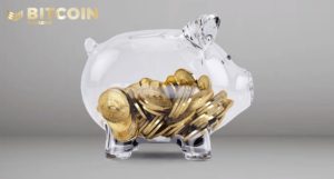 Bitcoin As A Secret Plan B For Your Children