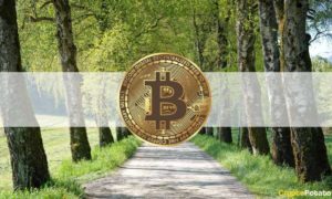 Bitcoin Recovers After 3rd Weekly Dip to $40k: DYDX Skyrockets Another 30% (Market Watch)