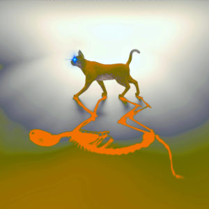 Schrödinger’s Bitcoin