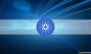 Since Launching Smart Contracts, Cardano (ADA) Price is Down Only