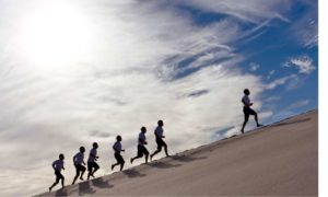 Here Are The 10 Best Performing Cryptocurrencies in November