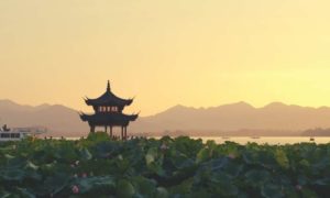 Popular Altcoins Exchange MEXC Global to Retire Chinese Accounts This Month