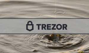 Trezor Users Targeted in a MailChimp Exploit