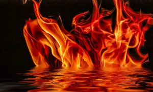 Kraken’s Curtis Ting Believes There’s a ‘Special Place in Hell’ for Crypto Fraudsters