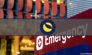 TFL Proposes Emergency Response to Counter Recent Collapse of Terra Ecosystem