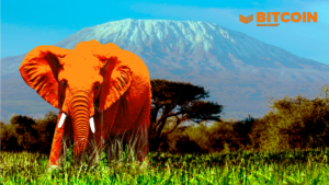 How Bitcoin Helps Solve Unemployment In Africa