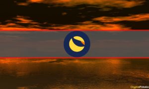 Risk-Aversive Bets Reigned Amid Terra’s Notorious Plunge (Report)