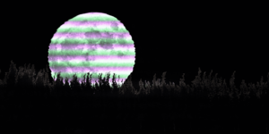 Terra to Relaunch: Do Kwon’s Proposal Passes By 65% (LUNA Airdrop)