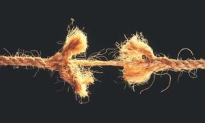 Decoupling: Crypto in Deep Red Despite Wall Street’s Relief Rally (Market Watch)