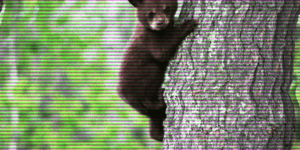 2022 Bear Market Product Features to Watch: Nansen, Zurp, 1inch, Aave