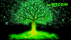 In Support Of Responsibly Assessing Bitcoin And Fintech