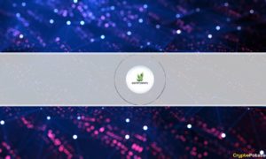 KryptoPips Creates First Multi-Broker Rewards Coin to Democratize Global Brokerage Industry