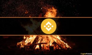 Binance BNB Burn Explained: How Much is Burnt and When?