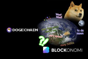 What is Dogechain? Dogecoin Meets NFTs, Games & DeFi