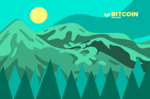 Giving Thanks For Bitcoin And Bitcoiners