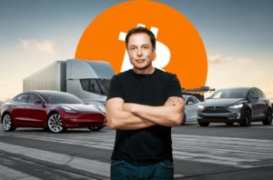 Elon Musk: Bitcoin Will Survive The Crypto Winter