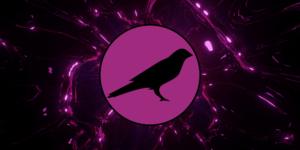 What is Kusama? The Battleground for Polkadot Developers