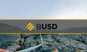 Binance USD (BUSD) Redemptions Surge to $360M as Investors Panic