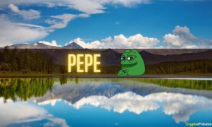 Alleged BlackRock Wallet Address Withdrew $1.2M Worth PEPE: On-Chain Data