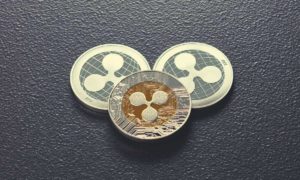 XRP Whales on the Rise Following Ripple’s Win v. the SEC