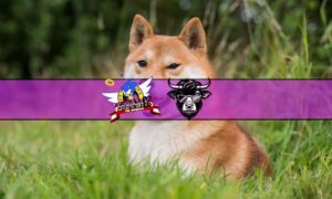 Meme Coin Watch: BoneShibaSwap Surges 8%, Wall Street Memes Hits $26 Million, $DOGE Technicals Point to Further Struggles