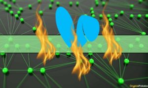 Is This the Hottest Trend in Crypto Right Now?