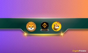 Binance Releases an Important Update Affecting Shiba Inu (SHIB) and Bonk Inu (BONK) Traders