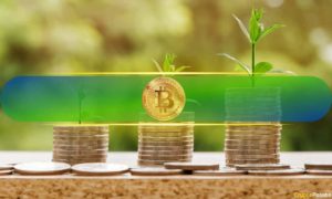 90% of Bitcoin Addresses Are in Profit After Swift Recovery Past $46,000: ITB