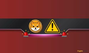 Important for SHIB Users: Shiba Inu Team Member Warns of Fake Sheboshi Tokens