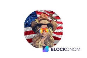 HAWK Token Creators Trade Blame as Founder Maintains 13-Day Silence