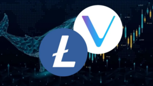 Litecoin and VeChain: Two Dark Horses Of Crypto World For Winter Bull Run?