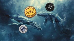 XRP and Cardano Fans Flock to This New Polygon Presale Token Set for Explosive Growth!