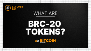 What are BRC-20 Tokens?
