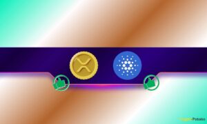 Binance Traders Bet Big on XRP and ADA: Should You Be Worried?