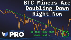 Bitcoin Miners Are Doubling Down