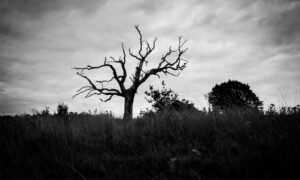 Crypto Glut Turns to Graveyard as 1.8M Tokens Died in Q1 2025