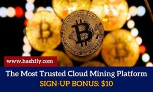 HashFly Cloud Mining – The Most Trusted and Profitable Bitcoin Mining Platform in 2025