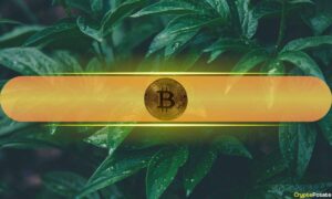 Rare Investor Alignment Emerges as Bitcoin (BTC) Rallies From Geopolitical Dip