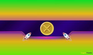 The Crucial Ripple (XRP) Metric That No One Is Talking About, and Why it Matters