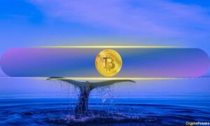 Bitcoin Stagnation Explained: Whales Profit-Take in $115K–$125K Zone