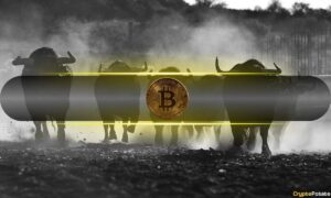Is Today’s $165B Crypto Market Rally The Start of a Massive Bull Run?