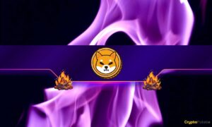 Here’s How Many Shiba Inu (SHIB) Tokens Were Burned in November